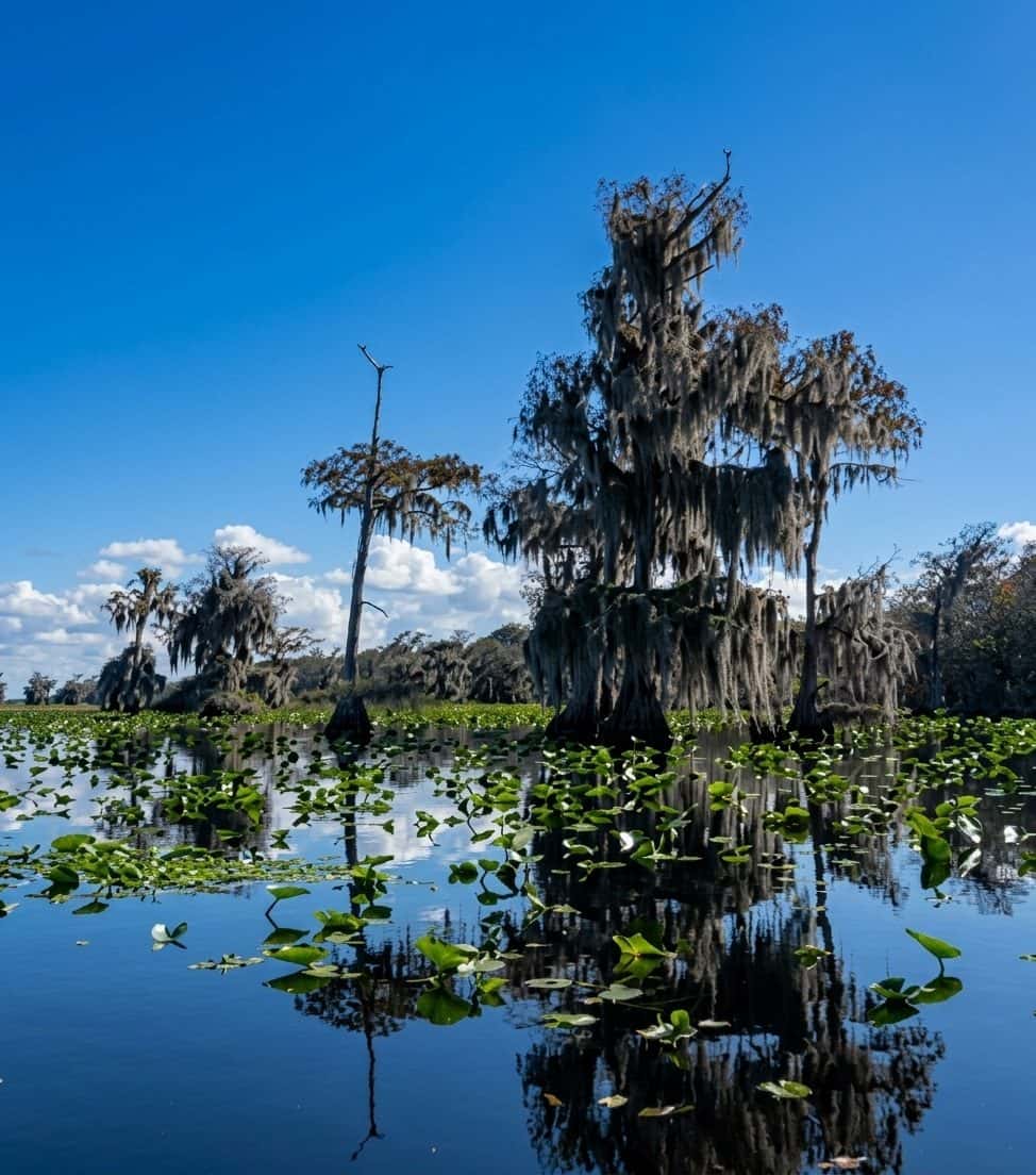 Blue Cypress Lake Fishing: Bass, Crappie & 6,666 Acres of Wild Florida 1