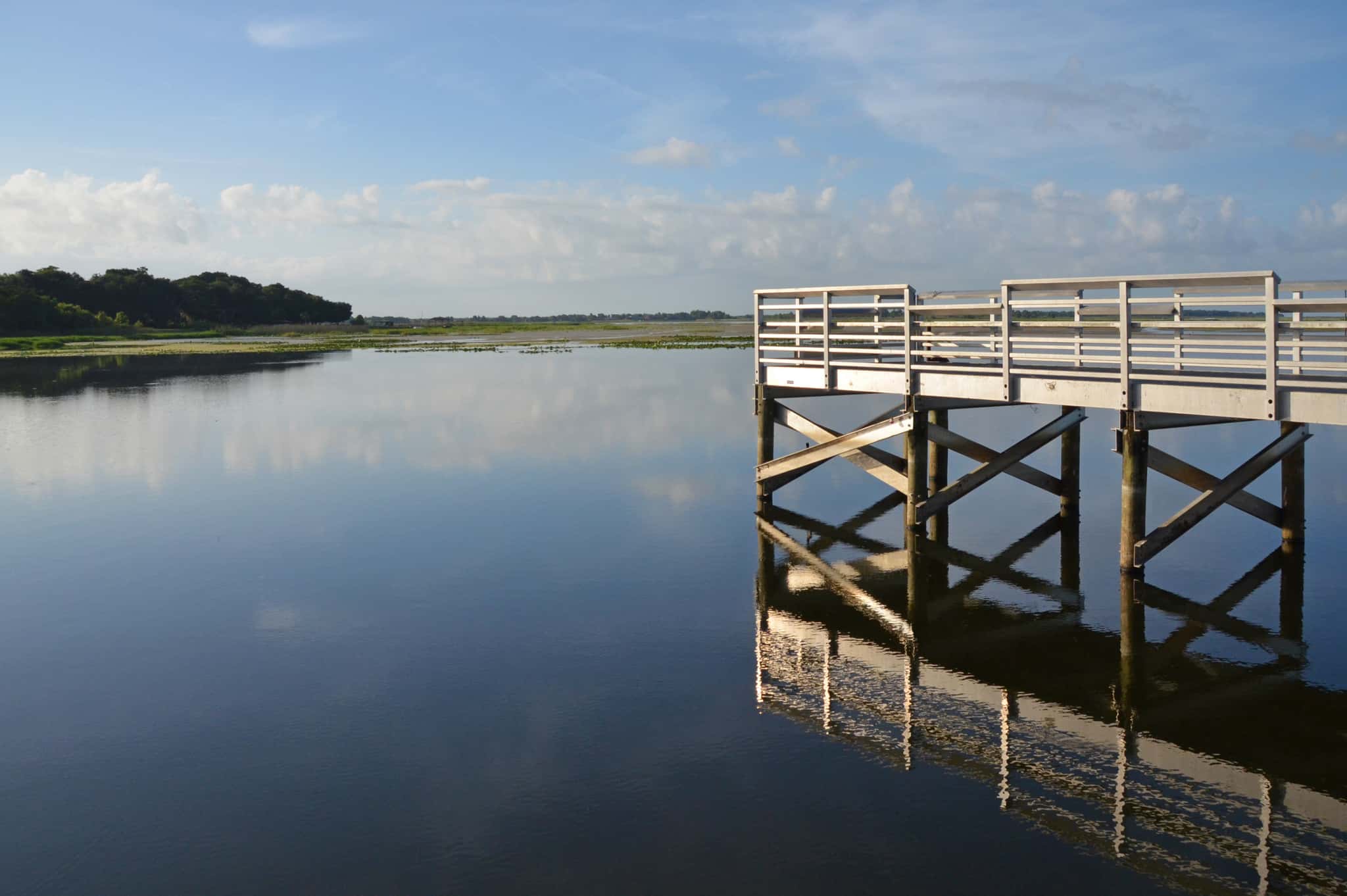 Lake Tohopekaliga Fishing: Bass, Striped Bass & 17-Foot Depths 1