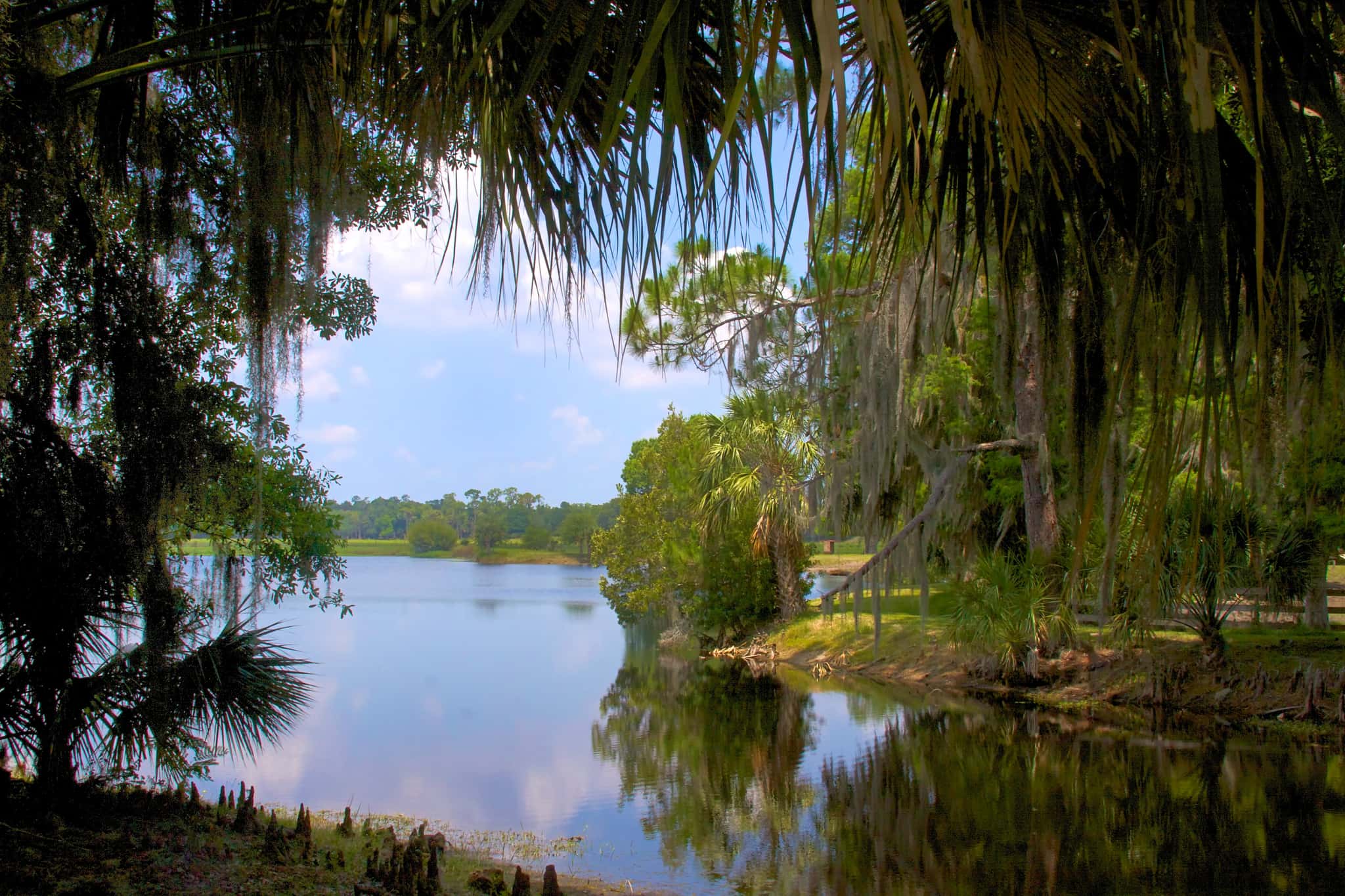 Lake Hatchineha Fishing: Bass, Stripers & 5,872 Acres of Shallow Water 3