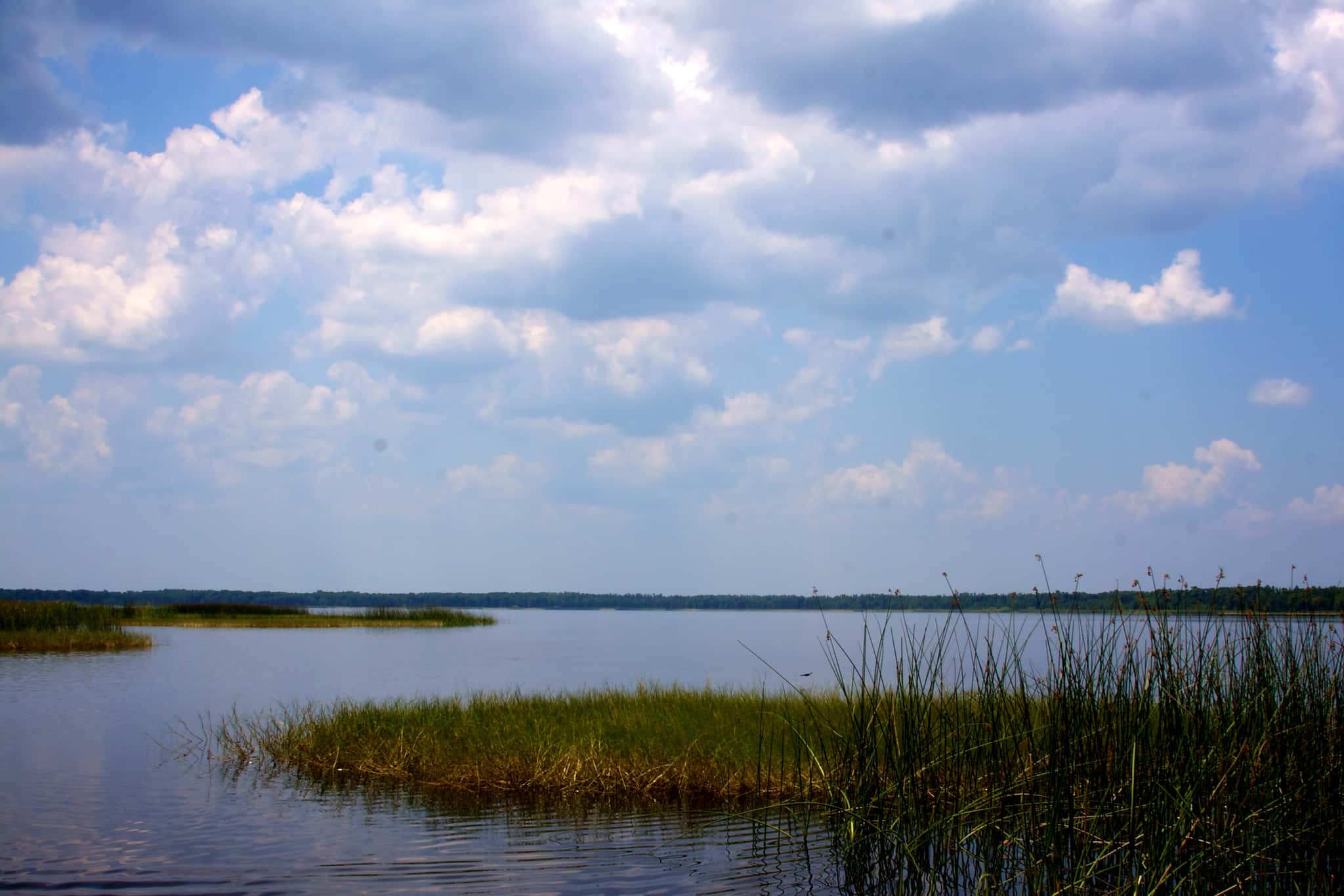 Lake Hatchineha Fishing: Bass, Stripers & 5,872 Acres of Shallow Water 2