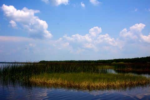 Lake Hatchineha