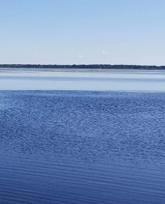 Orange Lake Fishing: Bass, Bluegill & Shallow Vegetation Tactics 2