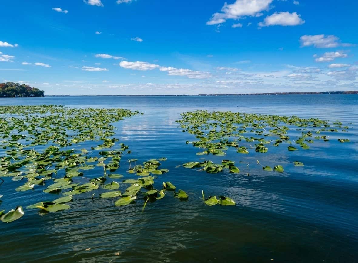 Lake Eustis Fishing: Bass, Stripers & 7,773 Acres of Central Florida Water 1