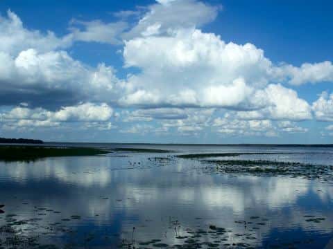 Newnans Lake