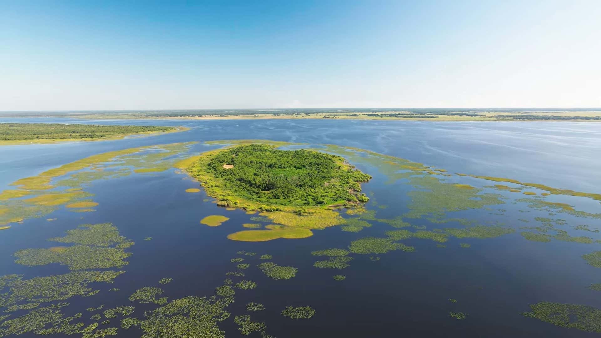 Lake Kissimmee Fishing: Bass, Crappie & 31,383 Acres of Florida Water 1