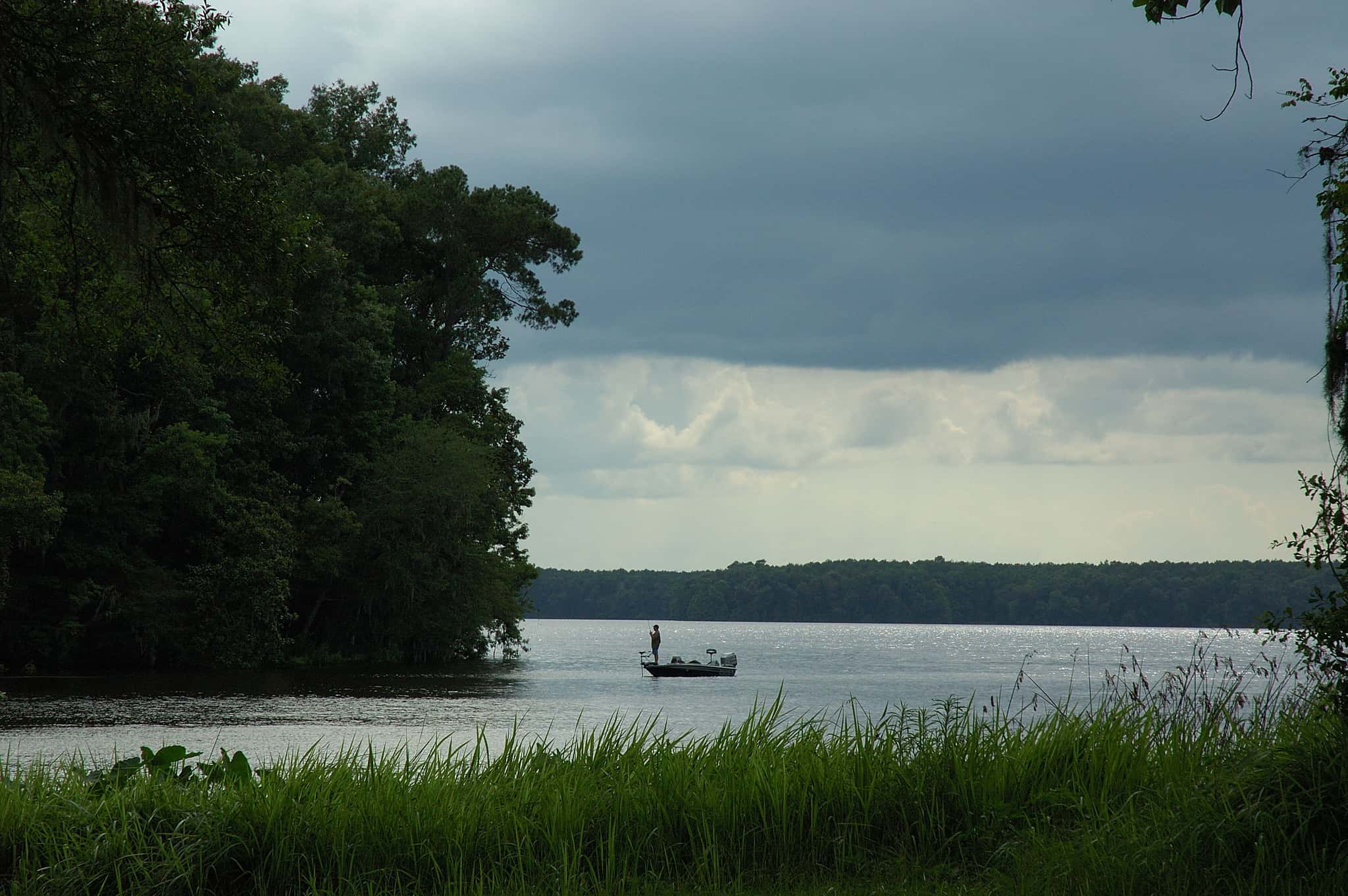 Lake Talquin 1