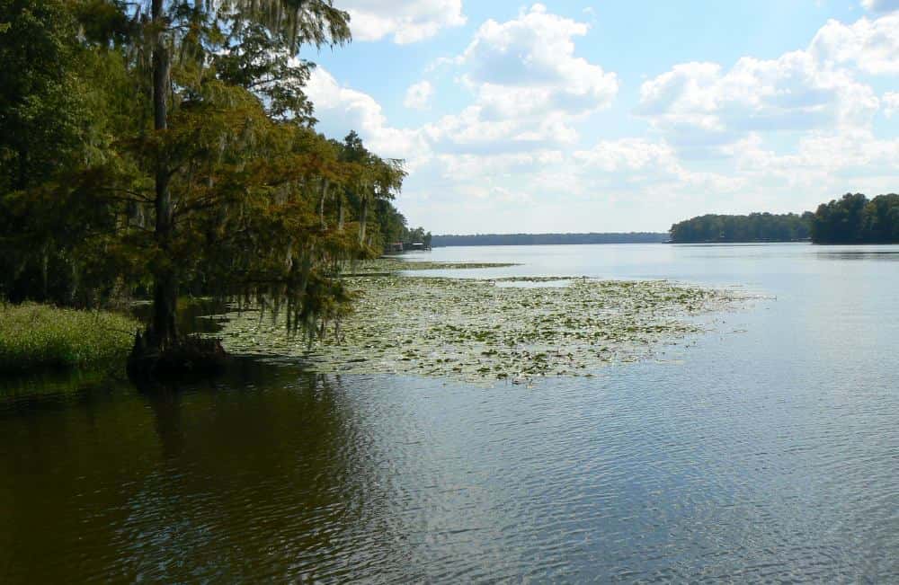 Lake Talquin 2