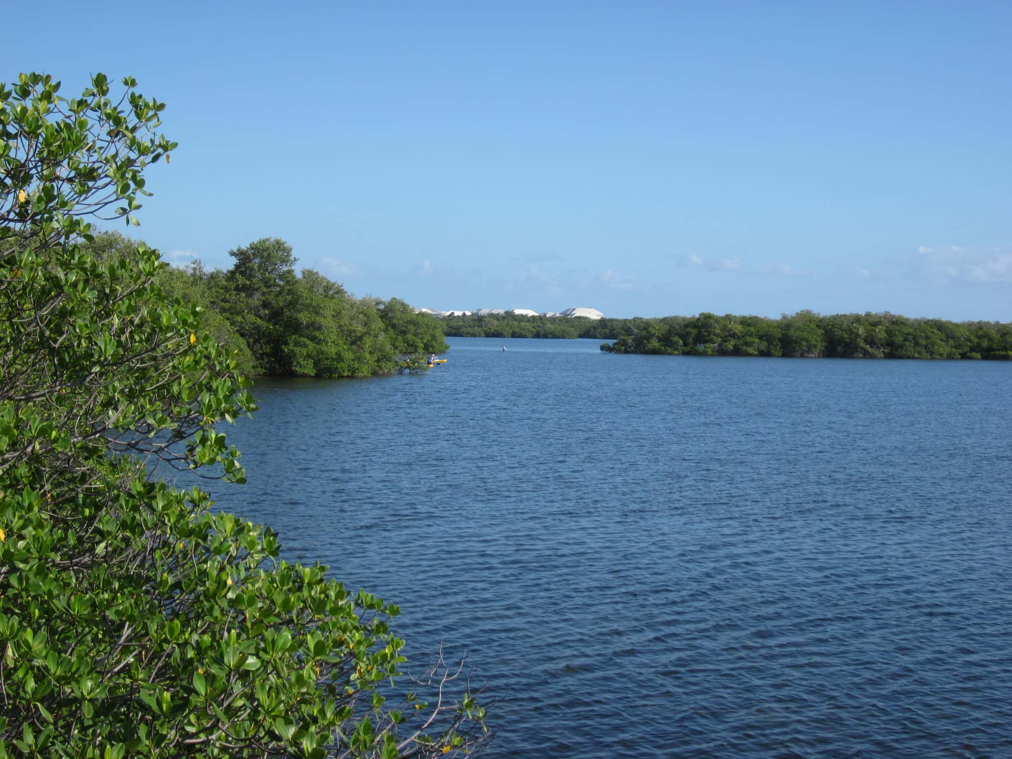 Lake Worth Fishing: Tarpon, Snook & 7,300 Acres of Shallow Flats 3