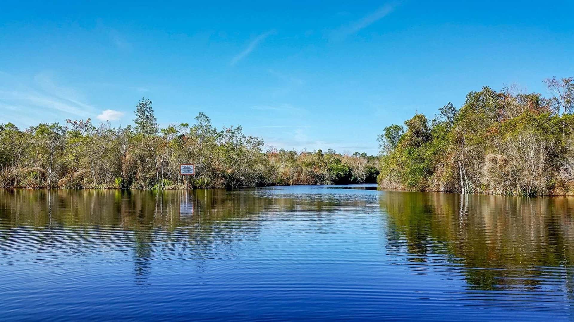 Lake Griffin 2