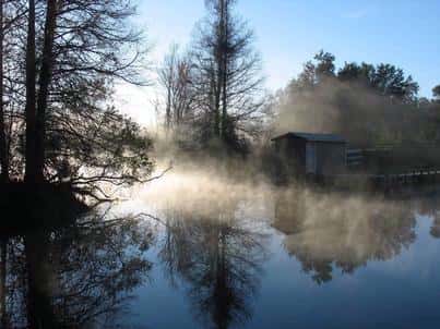 Lake Griffin 1