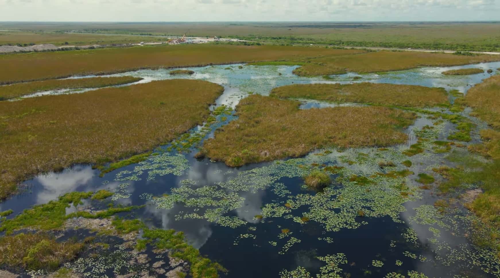 The Everglades 3