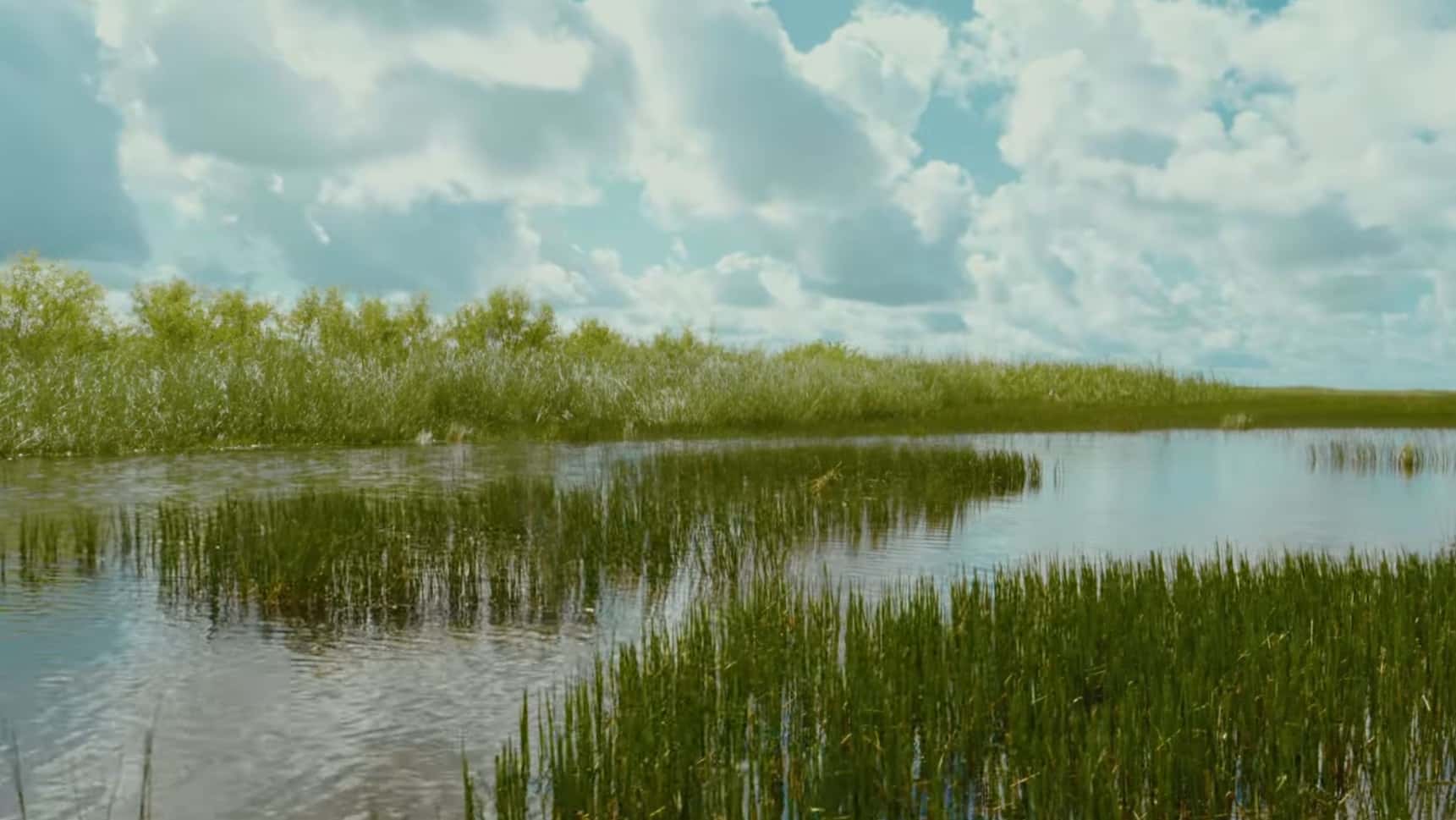 The Everglades 2