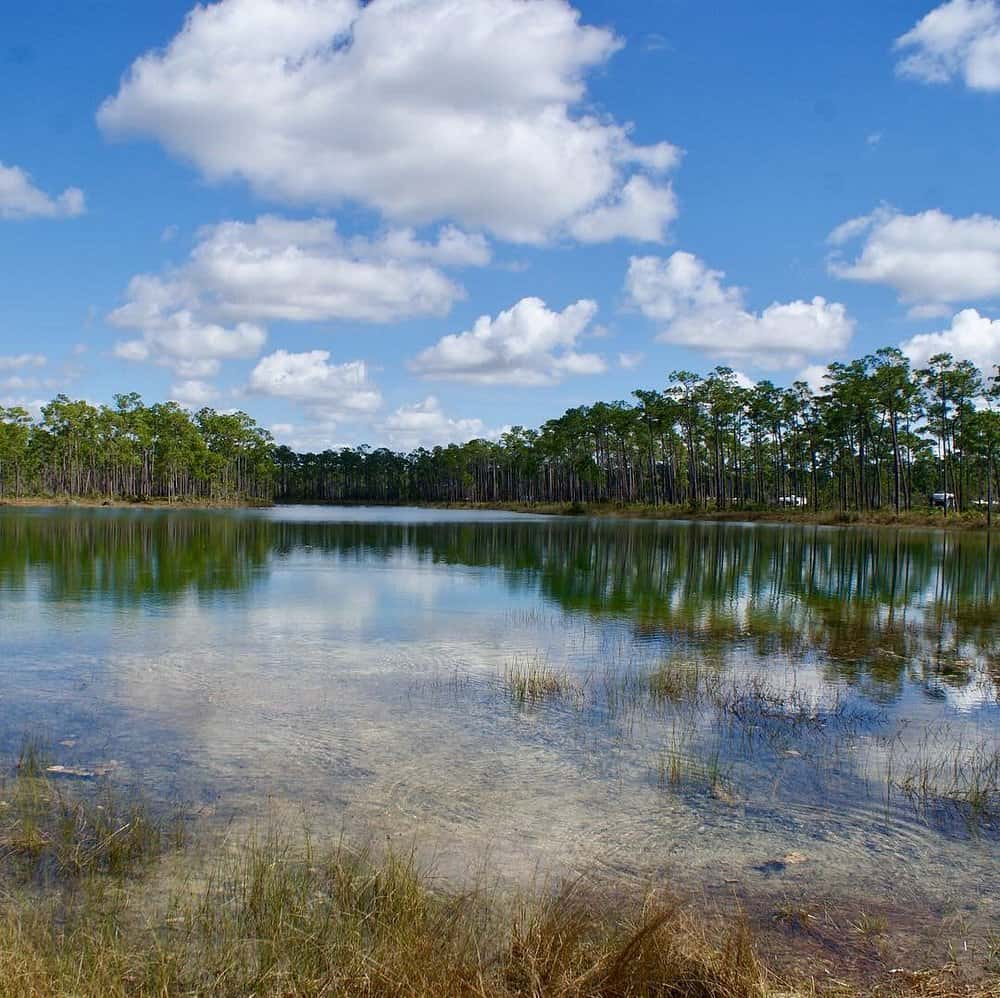 The Everglades Fishing: Largemouth Bass, Snook & Shallow Water Spots 2