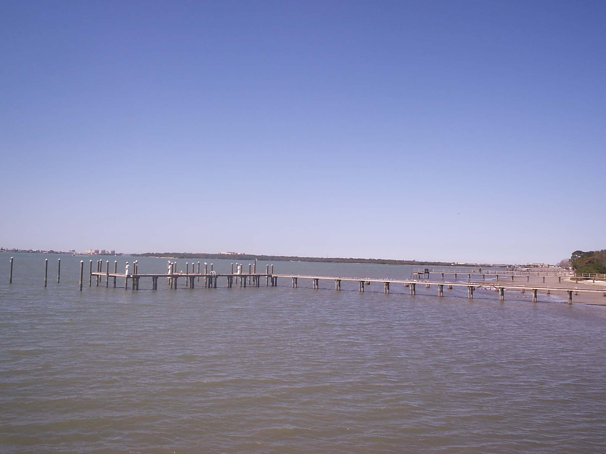 Boca Ciega Bay Fishing: Snook, Trout & 8,751 Acres of Grass 3