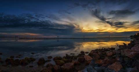 Tampa Bay