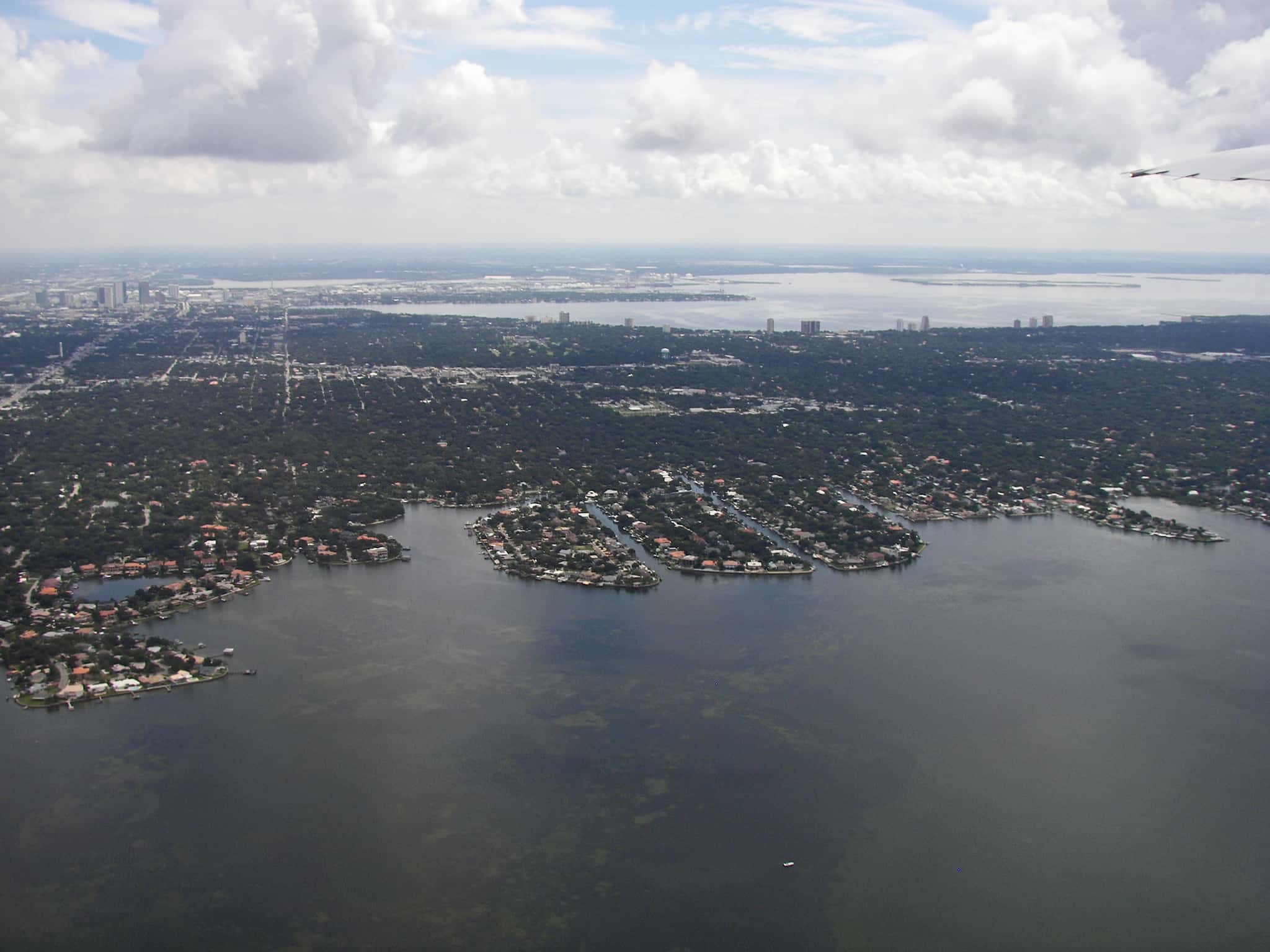 Tampa Bay Fishing: Snook, Tarpon & Trout on 20,000+ Acres of Grass 2