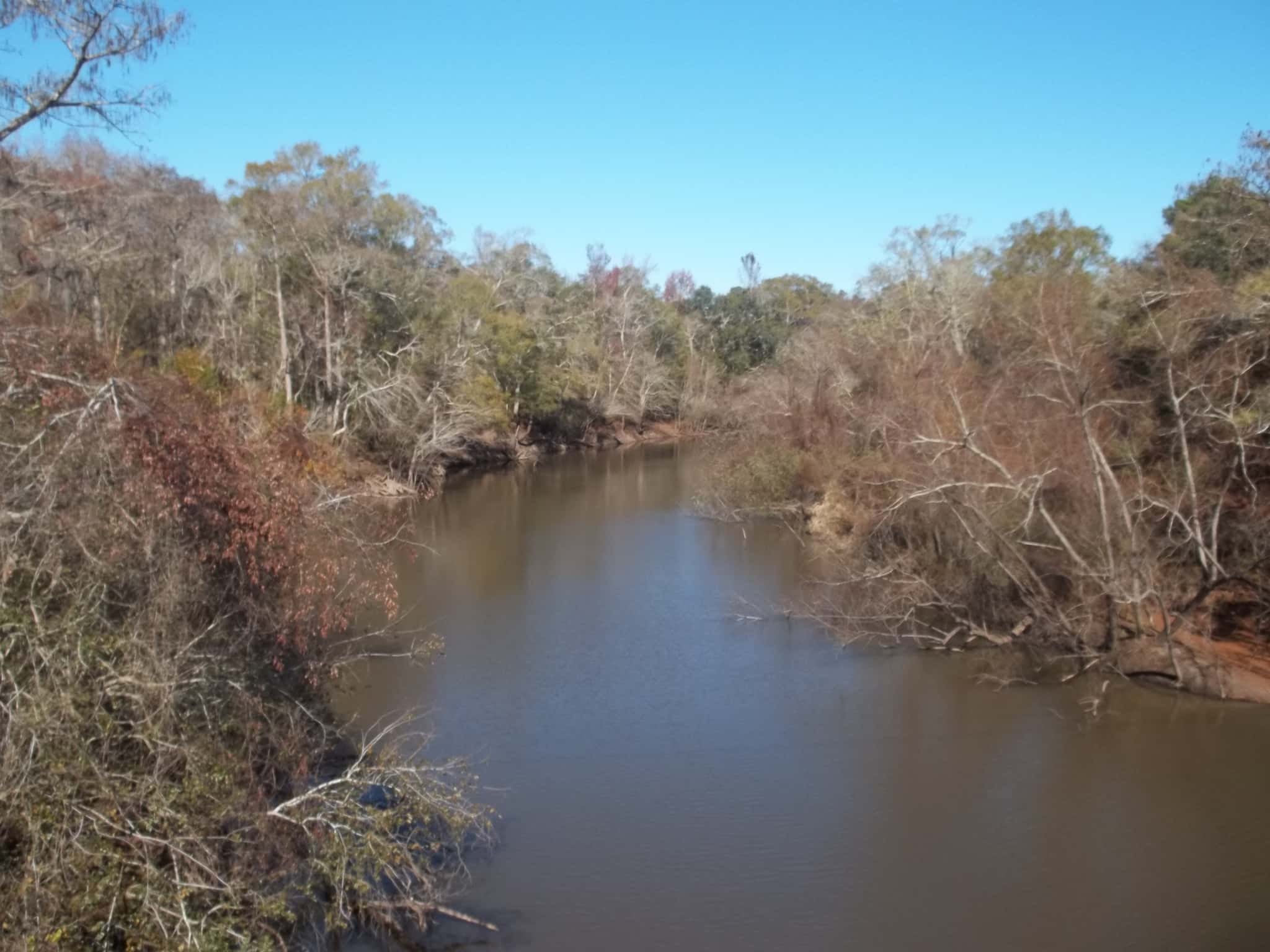 Ochlockonee River 3