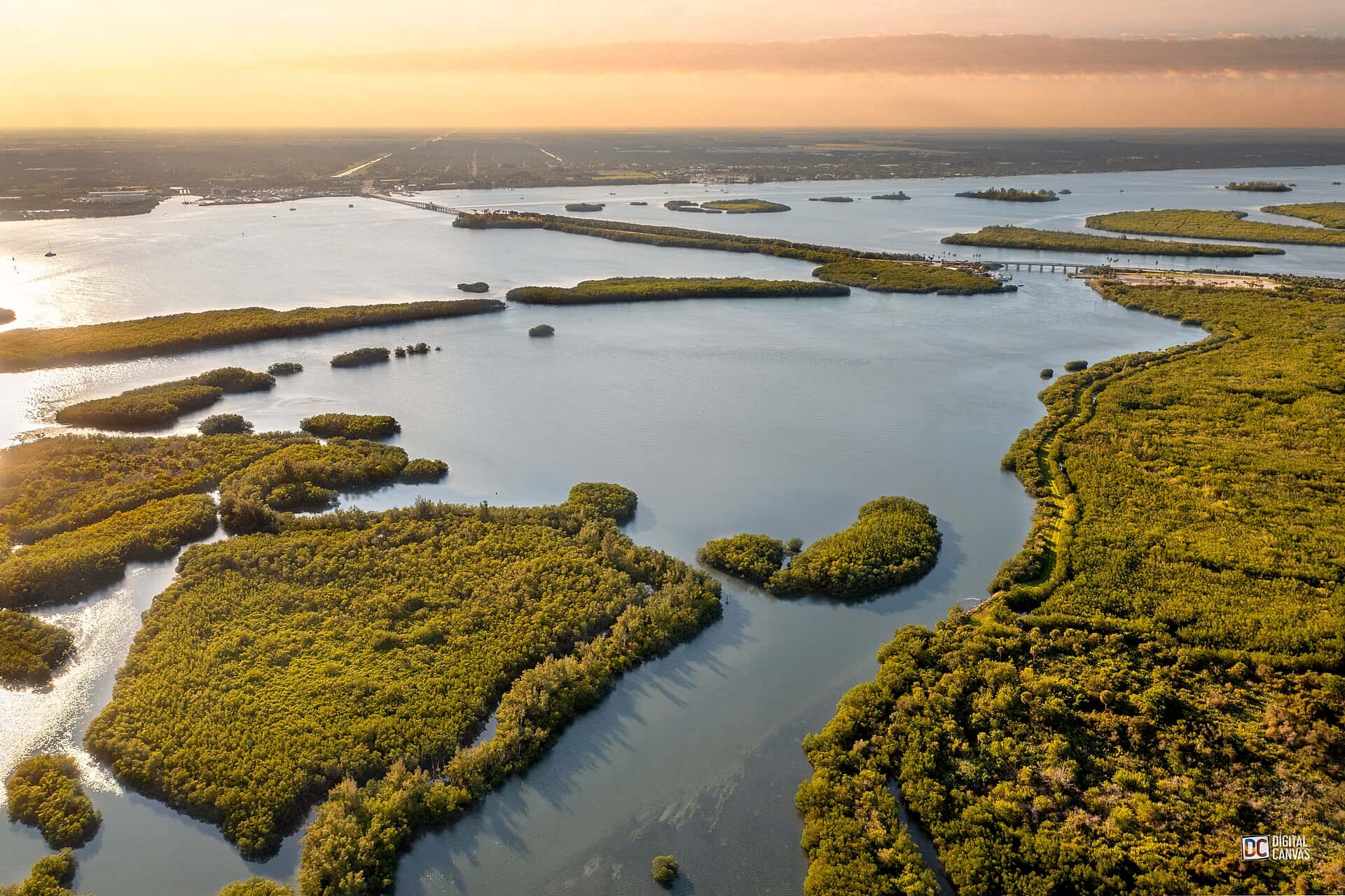 Indian River Lagoon Fishing: Snook, Seatrout, Redfish & 42,000 Acres of Grass 2