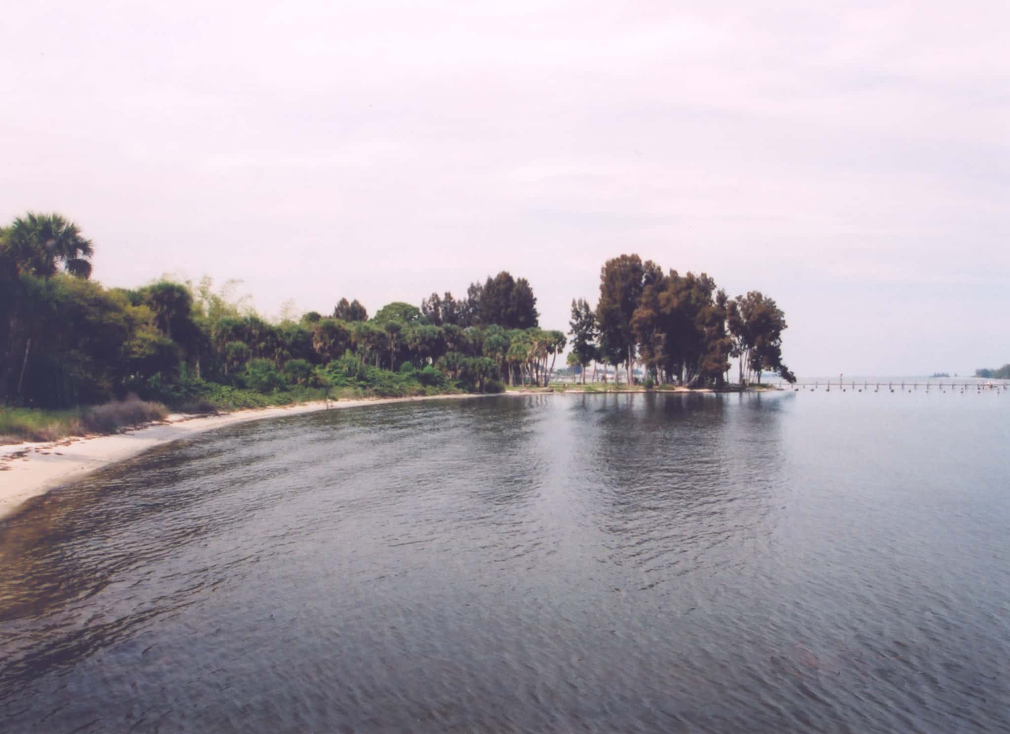Indian River Lagoon Fishing: Snook, Seatrout, Redfish & 42,000 Acres of Grass 3