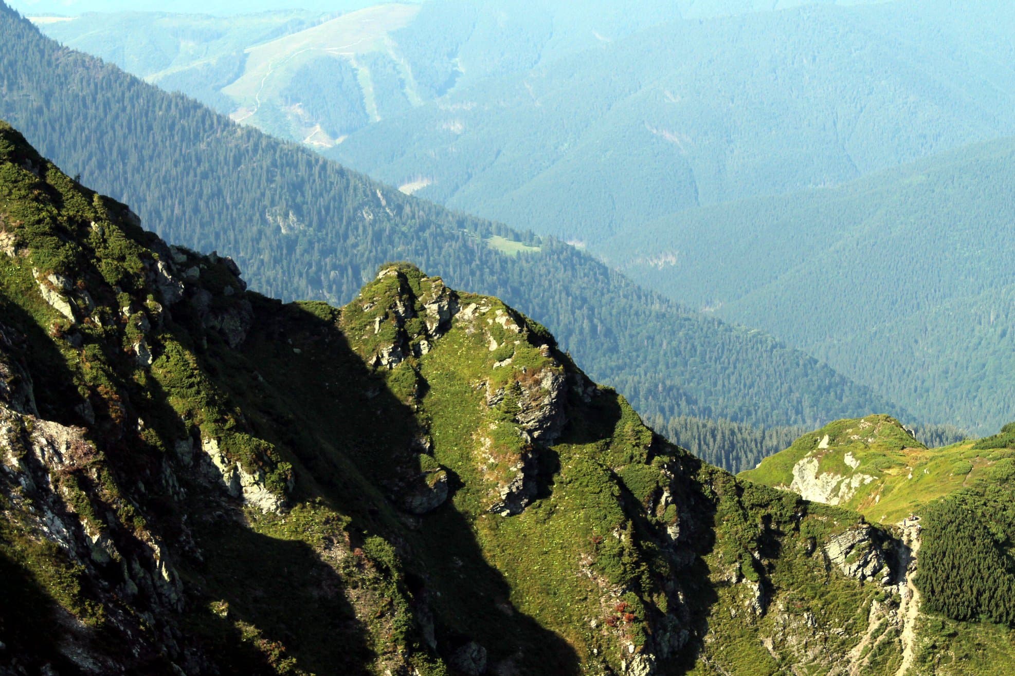 Acerca de TripSquick